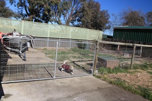 31 Forster Street, BUNGENDORE NSW 2621, Bungendore - Thumbnail 8