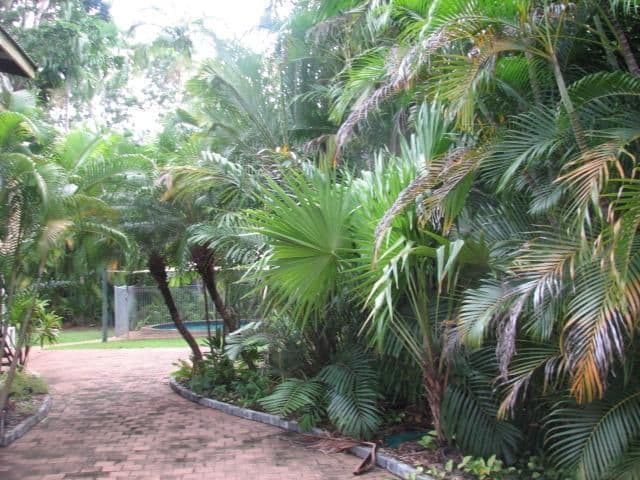 22 Matthews Road, MALAK NT 0812, Malak - Thumbnail 3
