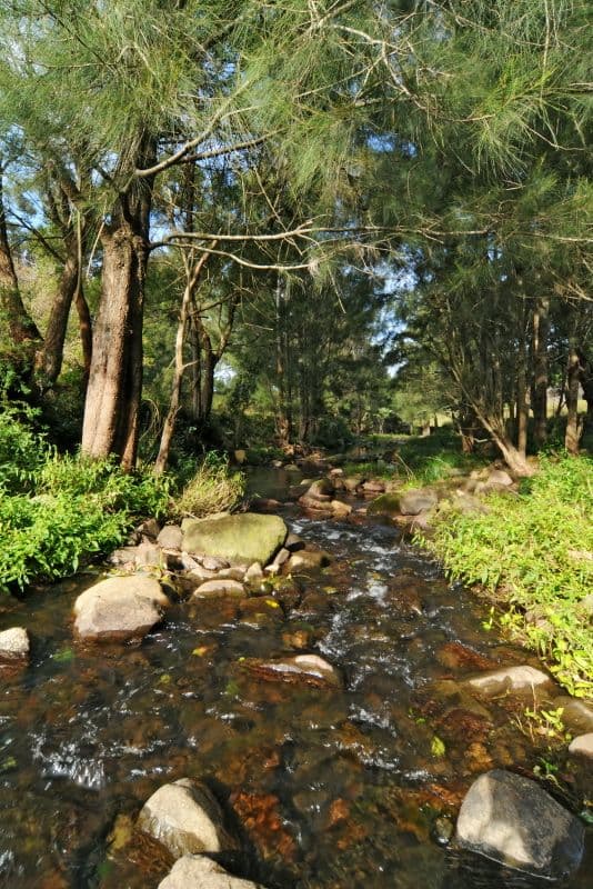 175 Bundewallah Road, BERRY NSW 2535, Berry - Thumbnail 7