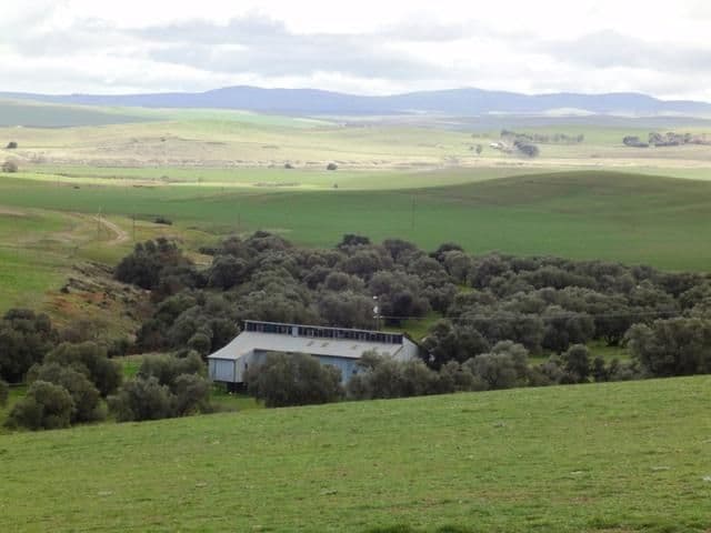 "Mungcowie" Mungcowie Road, SPALDING SA 5454, Spalding - Thumbnail 2