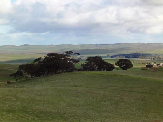 "Mungcowie" Mungcowie Road, SPALDING SA 5454, Spalding - Thumbnail 3