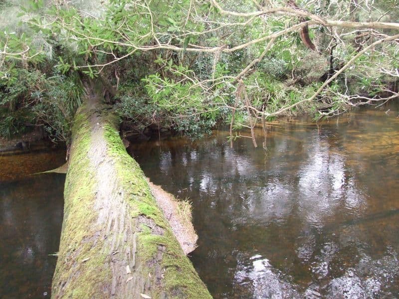 Lot 20 River Road, BROOMAN NSW 2538, Brooman - Thumbnail 2