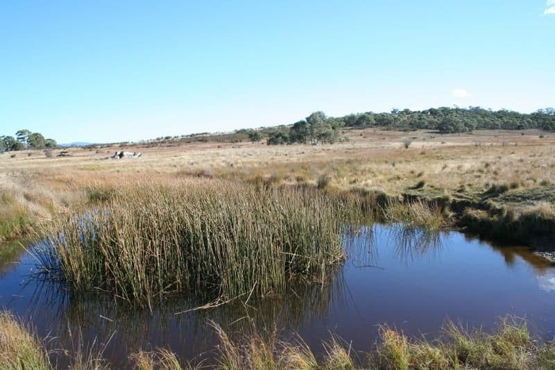 720 Cooma Road, Braidwood NSW 2622, Braidwood - Thumbnail 4