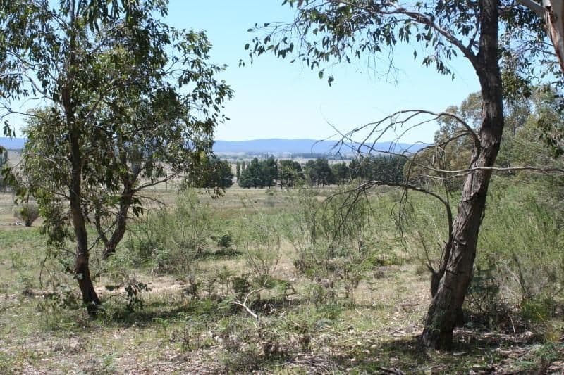 720 Cooma Road, Braidwood NSW 2622, Braidwood - Thumbnail 8