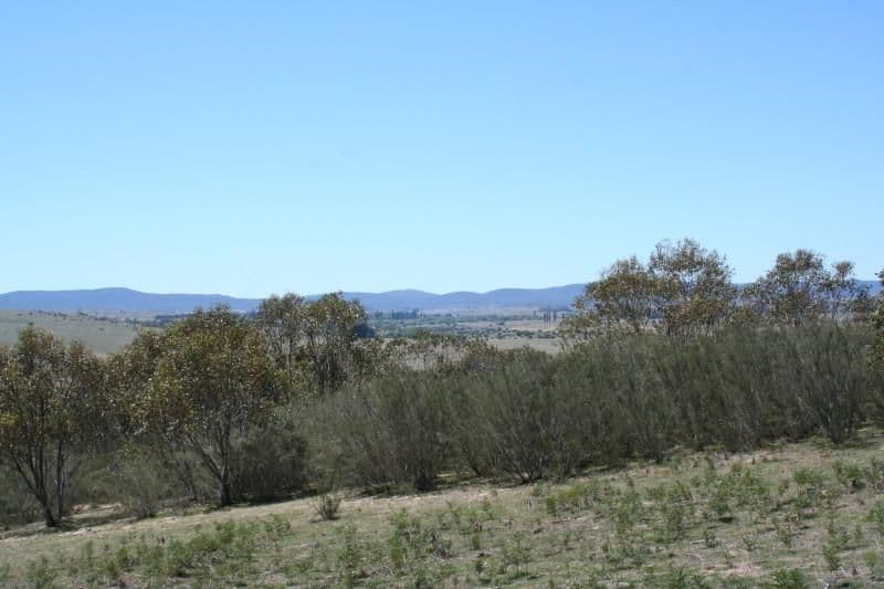 720 Cooma Road, Braidwood NSW 2622, Braidwood - Image 1