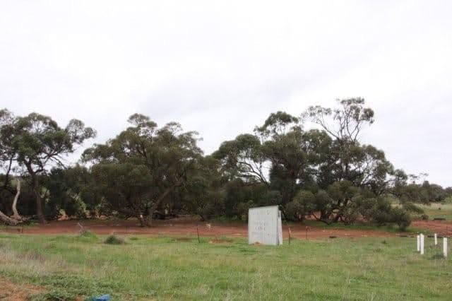 ROCKLEIGH SA 5254, Rockleigh - Thumbnail 5