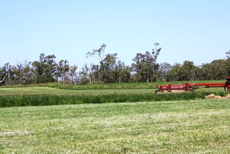 MUNDUBBERA QLD 4626, Mundubbera - Thumbnail 4