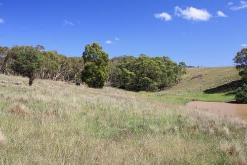 14 Rosebery Street, TARAGO NSW 2580, Tarago - Thumbnail 3