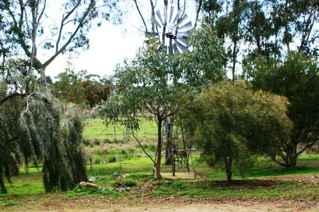 Lot 1 Roach Road, Stanley Flat, Clare SA 5453, Clare - Thumbnail 5