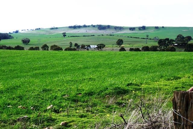 Lot 1 Roach Road, Stanley Flat, Clare SA 5453, Clare - Thumbnail 7