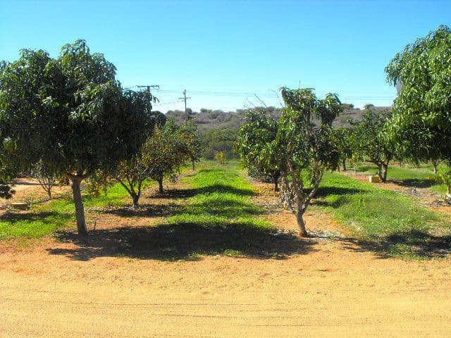 961  North West Coastal Highway, CARNARVON WA 6701, South Carnarvon - Thumbnail 3