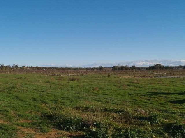 92 Cadell Valley Road, CADELL SA 5321, Cadell - Thumbnail 5