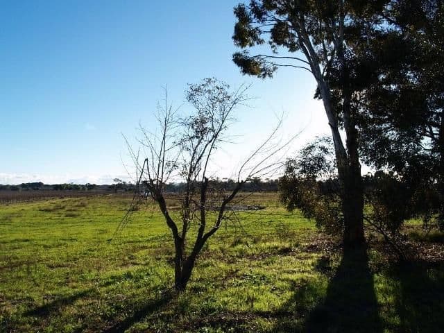 92 Cadell Valley Road, CADELL SA 5321, Cadell - Thumbnail 7