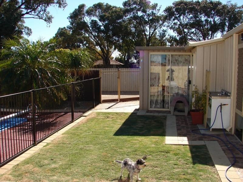 43 Newman Street, SPALDING WA 6530, Spalding - Thumbnail 8