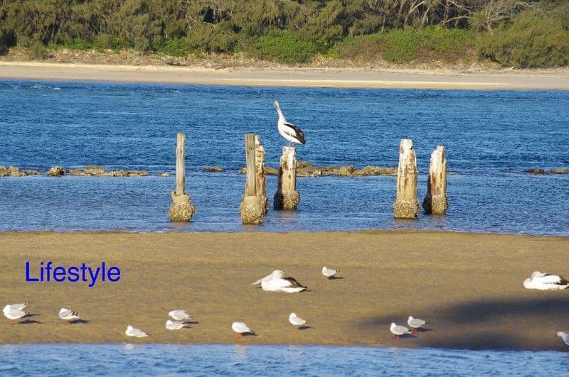 24 Morgo Street, URUNGA NSW 2455, Urunga - Thumbnail 8