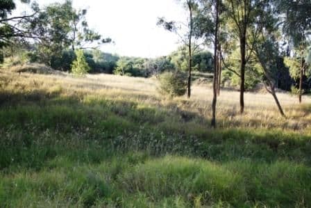 599 Greentree Road, MUNDUBBERA QLD 4626, Mundubbera - Image 1