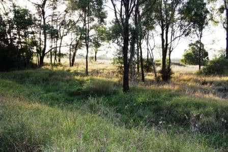 599 Greentree Road, MUNDUBBERA QLD 4626, Mundubbera - Thumbnail 2