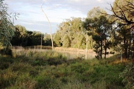599 Greentree Road, MUNDUBBERA QLD 4626, Mundubbera - Thumbnail 3