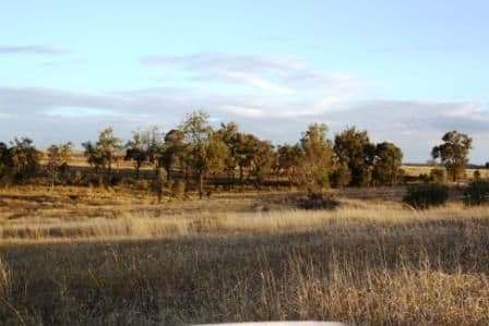 599 Greentree Road, MUNDUBBERA QLD 4626, Mundubbera - Thumbnail 4