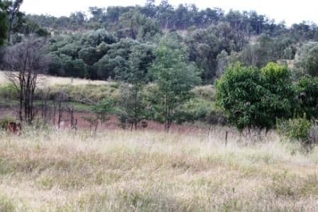 599 Greentree Road, MUNDUBBERA QLD 4626, Mundubbera - Thumbnail 7