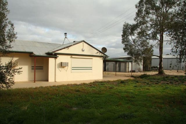 96 Derrick Road, LOXTON SA 5333, Loxton North - Image 1