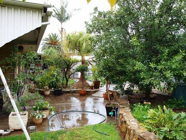 5 Birch Crescent, CLOVELLY PARK SA 5042, Clovelly Park - Thumbnail 3
