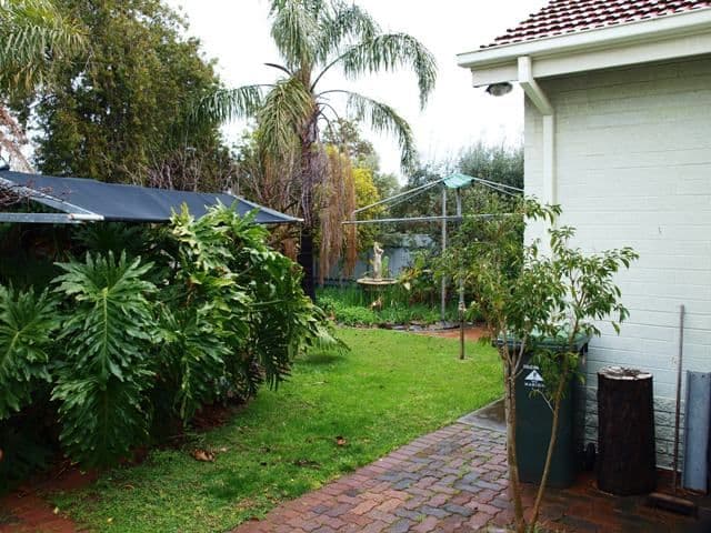 5 Birch Crescent, CLOVELLY PARK SA 5042, Clovelly Park - Thumbnail 5