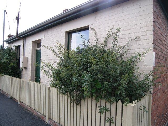 1 Andrew Street, NORTH HOBART TAS 7000, North Hobart - Image 1