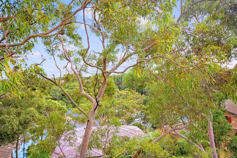 2 Coonah Parade, RIVERVIEW NSW 2066, Riverview - Thumbnail 5