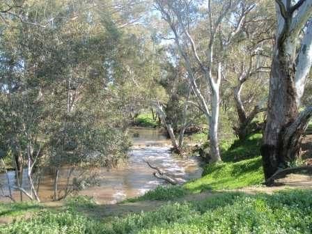 175 "Lot 1" Seymour Pyalong Road, SEYMOUR VIC 3660, Seymour - Image 1