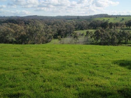 175 "Lot 1" Seymour Pyalong Road, SEYMOUR VIC 3660, Seymour - Thumbnail 4