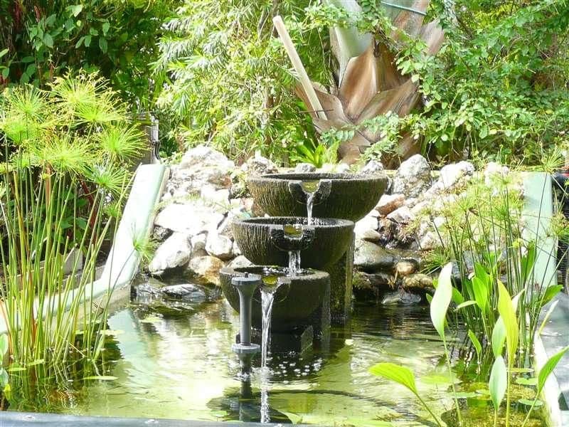 251 Aumuller Street, WESTCOURT QLD 4870, Westcourt - Thumbnail 2