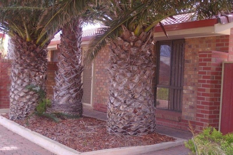 26 Oceanview Drive, NORTH BEACH SA 5556, North Beach - Image 1