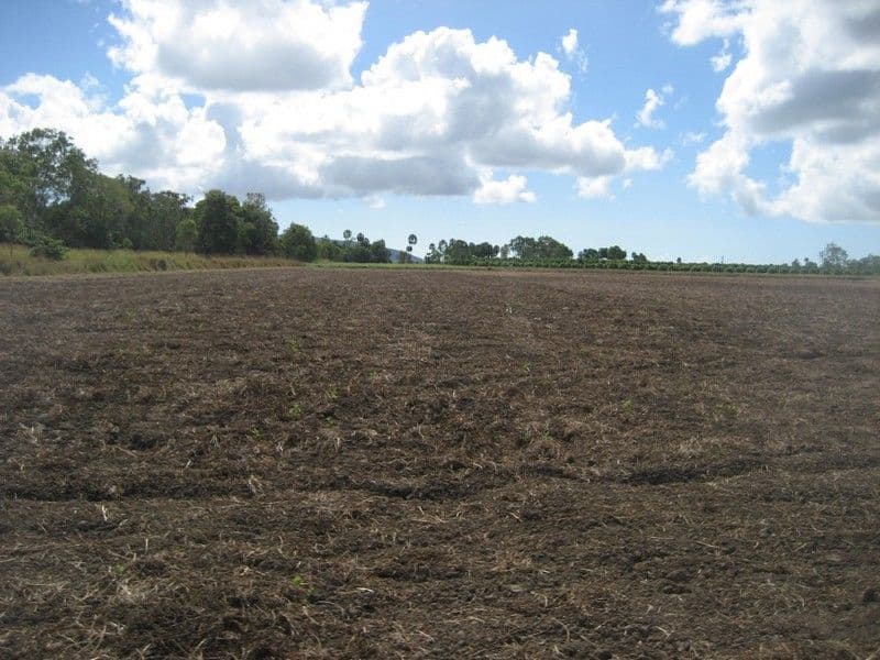 GIRU QLD 4809, Giru - Image 1