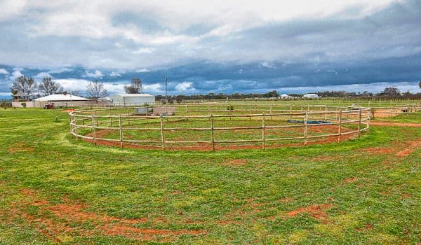 24 Honour Avenue, MERBEIN VIC 3505, Merbein West - Thumbnail 7