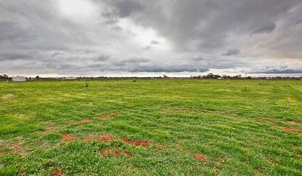 24 Honour Avenue, MERBEIN VIC 3505, Merbein West - Thumbnail 5
