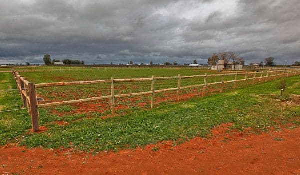 24 Honour Avenue, MERBEIN VIC 3505, Merbein West - Thumbnail 3