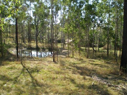 GIN GIN QLD 4671, Gin Gin - Thumbnail 7