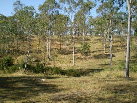 GIN GIN QLD 4671, Gin Gin - Thumbnail 8