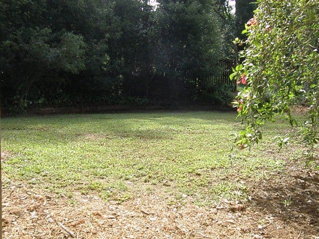 15 Rohlf Street, DAYBORO QLD 4521, Dayboro - Thumbnail 3