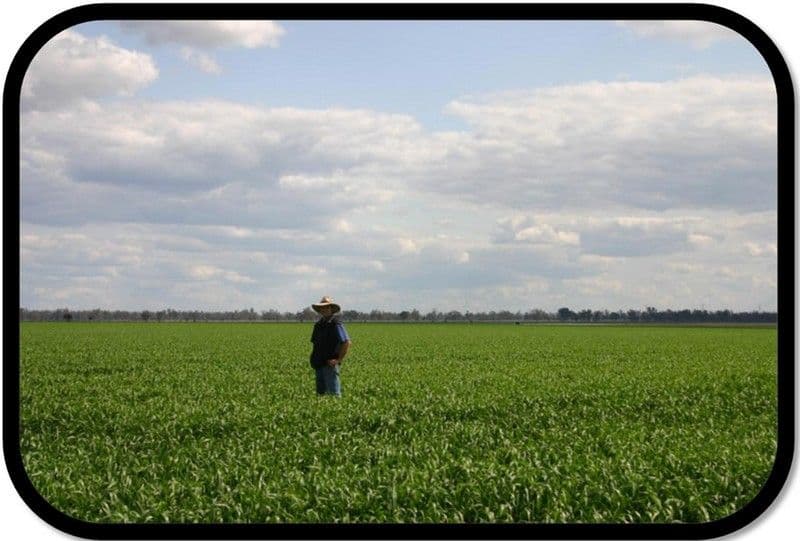 PITTSWORTH QLD 4356, Pittsworth - Thumbnail 8
