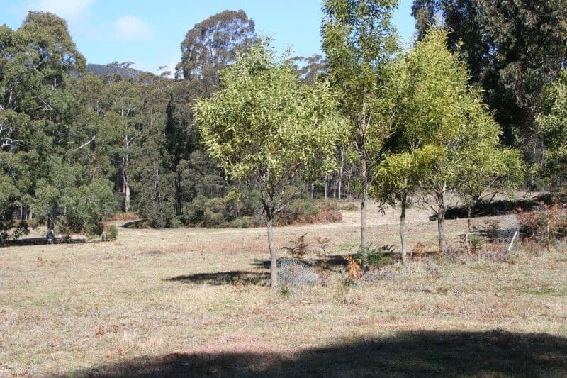 lot 185 Charlies Forest Road, BRAIDWOOD NSW 2622, Braidwood - Image 1