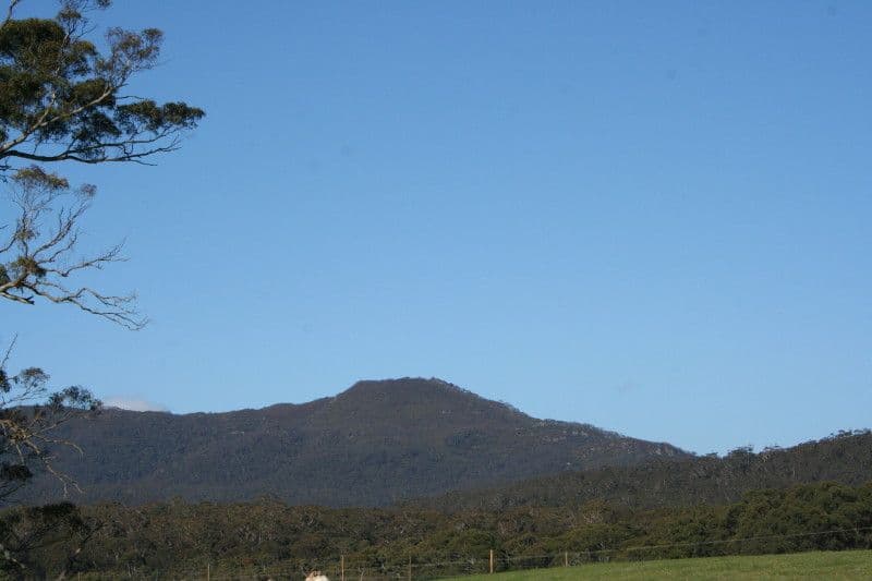 lot 185 Charlies Forest Road, BRAIDWOOD NSW 2622, Braidwood - Thumbnail 6