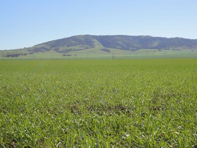 3 Lots "Baldina", SOUTH HUMMOCKS SA 5550, South Hummocks - Image 1