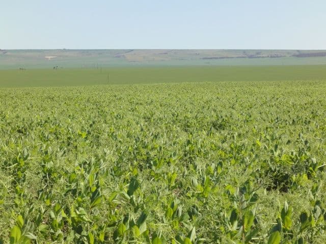 3 Lots "Baldina", SOUTH HUMMOCKS SA 5550, South Hummocks - Thumbnail 4
