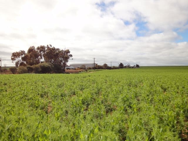 3 Lots "Baldina", SOUTH HUMMOCKS SA 5550, South Hummocks - Thumbnail 5