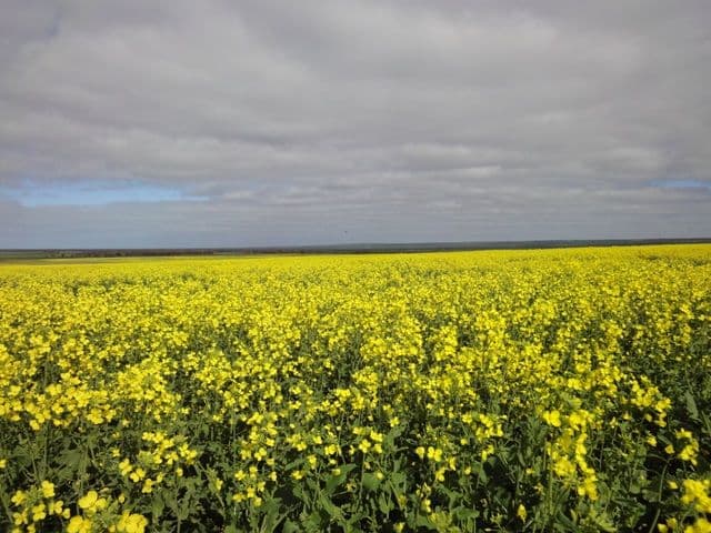 3 Lots "Baldina", SOUTH HUMMOCKS SA 5550, South Hummocks - Thumbnail 7
