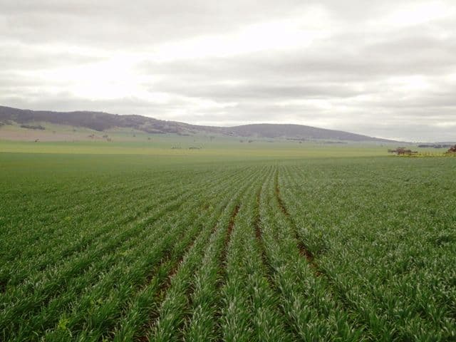 3 Lots "Baldina", SOUTH HUMMOCKS SA 5550, South Hummocks - Thumbnail 6