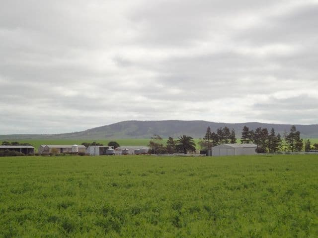 3 Lots "Baldina", SOUTH HUMMOCKS SA 5550, South Hummocks - Thumbnail 2