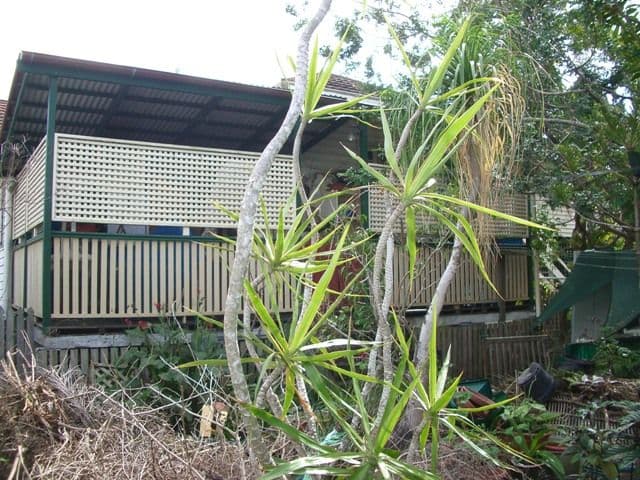 62 Withington Street, EAST BRISBANE QLD 4169, East Brisbane - Thumbnail 3